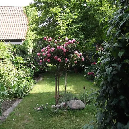 Gast In Hedwigs Haus Auf Dem Meere 3* Lüneburg