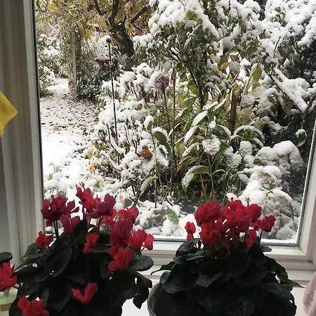 Gast In Hedwigs Haus Auf Dem Meere 3* Lüneburg