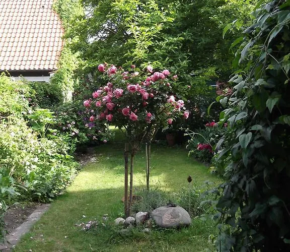 Gast In Hedwigs Haus Auf Dem Meere 3* Lüneburg