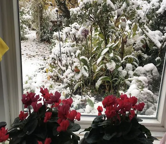 Gast In Hedwigs Haus Auf Dem Meere 3* Lüneburg